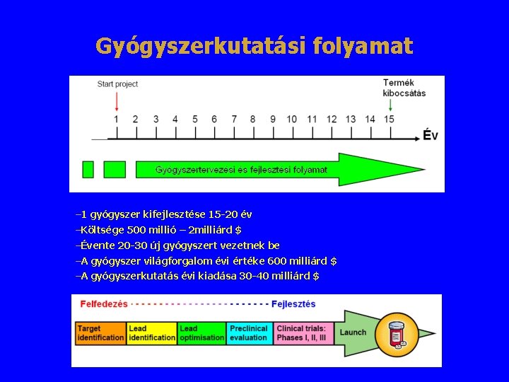 Gyógyszerkutatási folyamat – 1 gyógyszer kifejlesztése 15 -20 év –Költsége 500 millió – 2