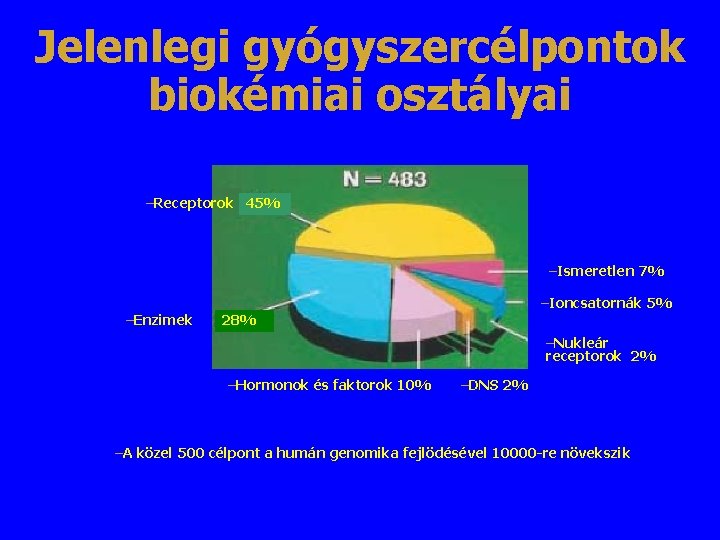Jelenlegi gyógyszercélpontok biokémiai osztályai –Receptorok 45% –Ismeretlen 7% –Enzimek –Ioncsatornák 5% 28% –Nukleár receptorok Jelenlegi gyógyszercélpontok biokémiai osztályai –Receptorok 45% –Ismeretlen 7% –Enzimek –Ioncsatornák 5% 28% –Nukleár receptorok