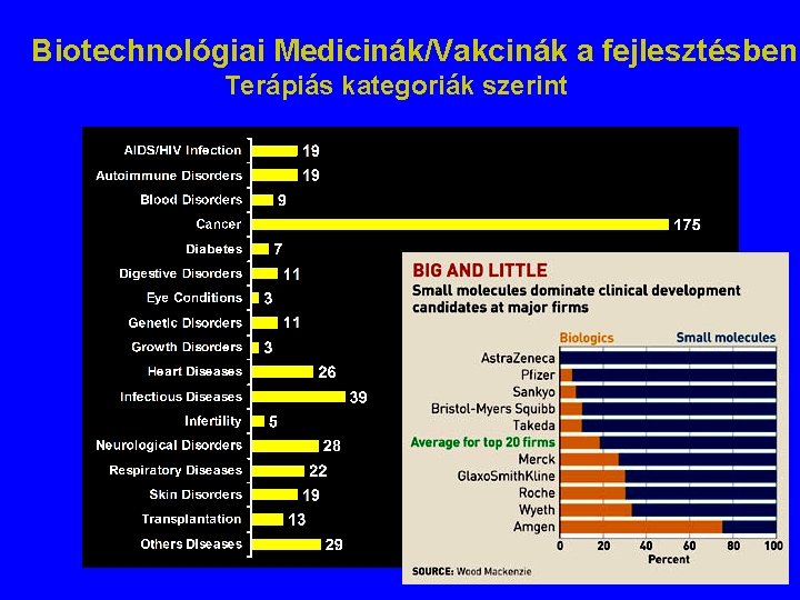 Biotechnológiai Medicinák/Vakcinák a fejlesztésben Terápiás kategoriák szerint Biotechnológiai Medicinák/Vakcinák a fejlesztésben Terápiás kategoriák szerint