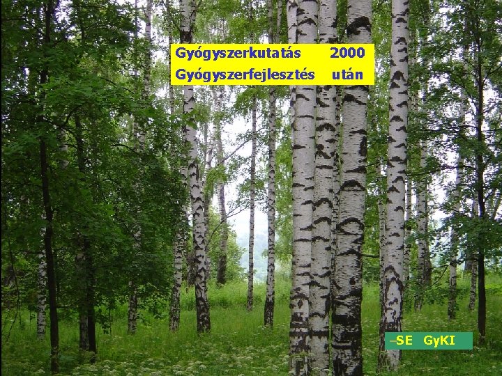 Gyógyszerkutatás 2000 Gyógyszerfejlesztés után –SE Gy. KI 