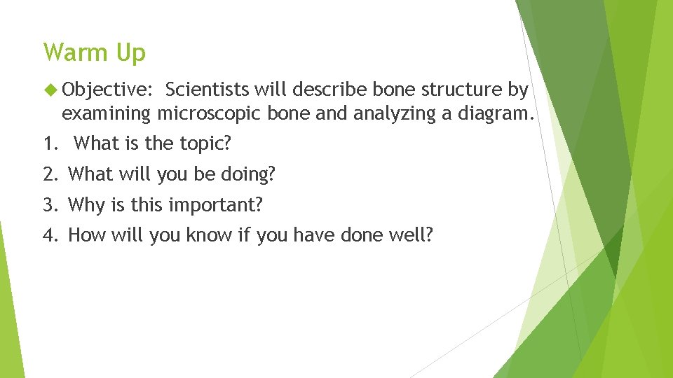 Warm Up Objective: Scientists will describe bone structure by examining microscopic bone and analyzing