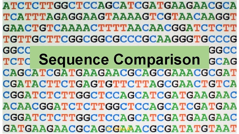 Sequence Comparison Dr. Hilal AY 