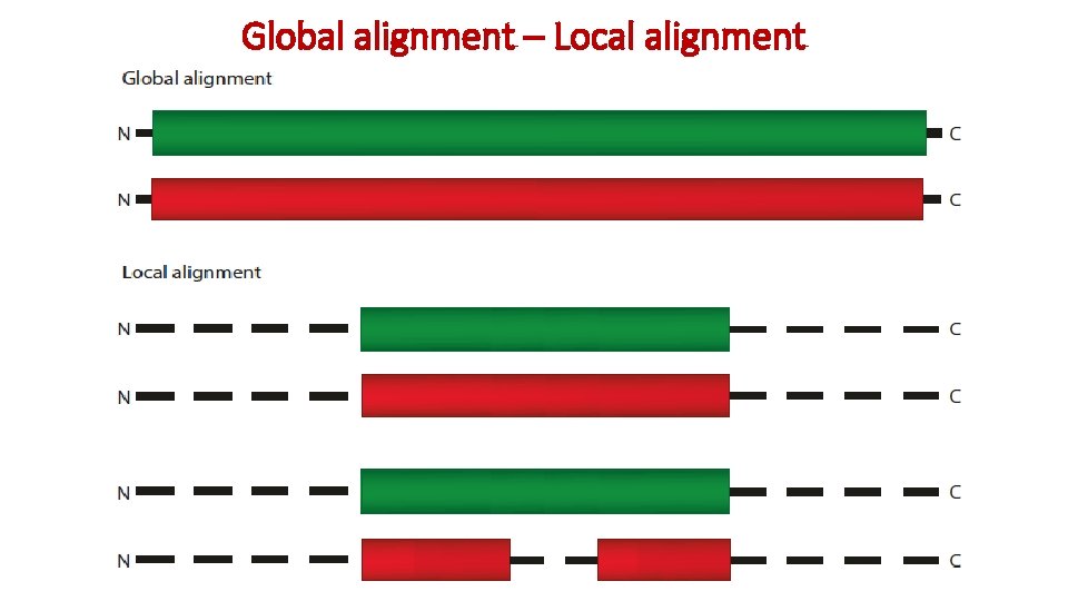 Global alignment – Local alignment 