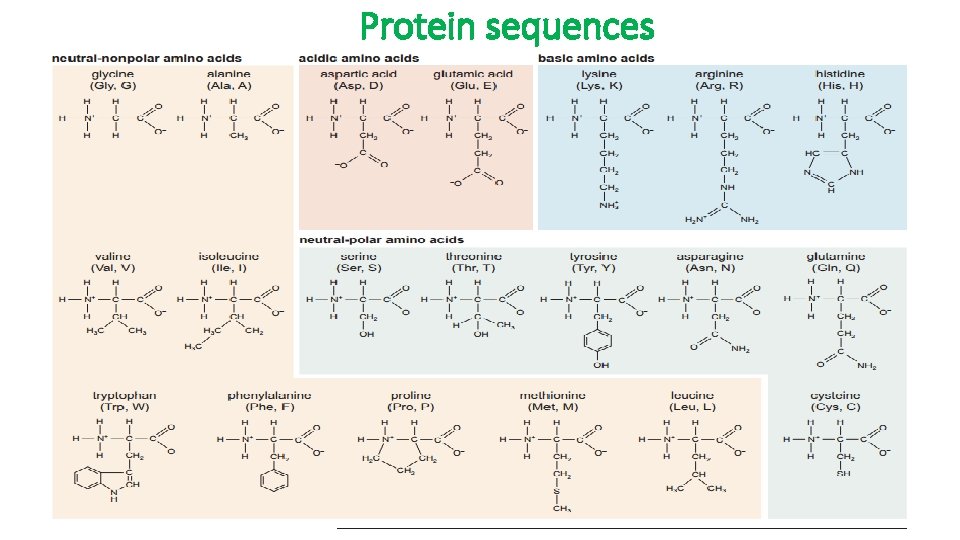 Protein sequences 