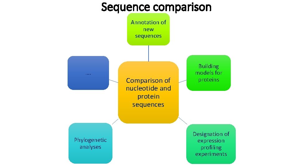 Sequence comparison Annotation of new sequences …. Phylogenetic analyses Comparison of nucleotide and protein