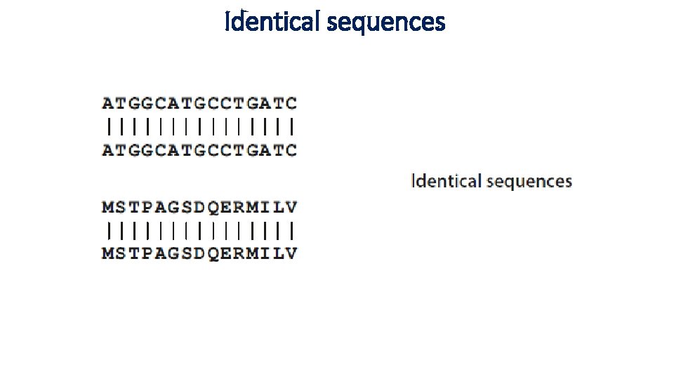 Identical sequences 