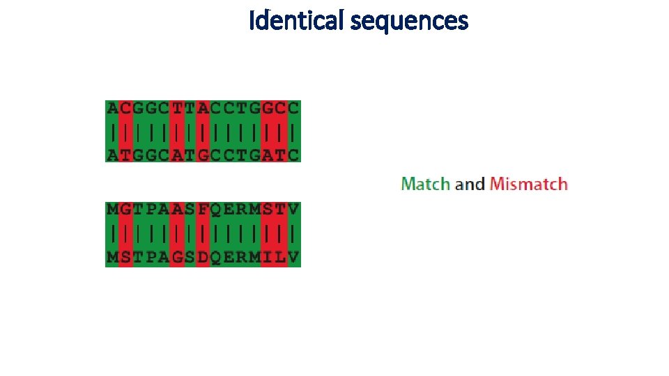 Identical sequences 