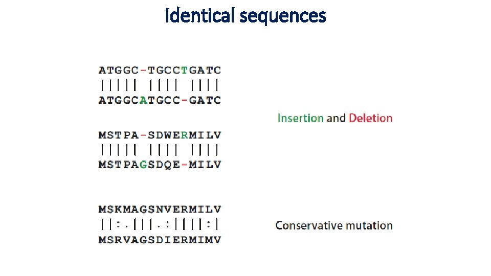 Identical sequences 