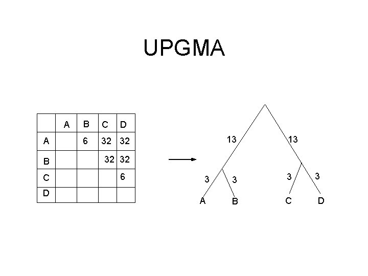 UPGMA A A B C D B C 6 32 32 D 13 13