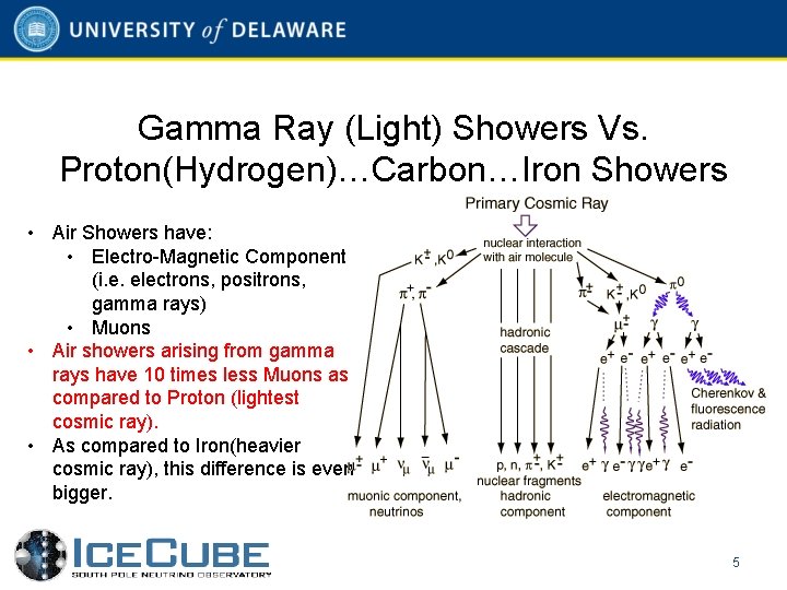 Gamma Ray (Light) Showers Vs. Proton(Hydrogen)…Carbon…Iron Showers • Air Showers have: • Electro-Magnetic Component