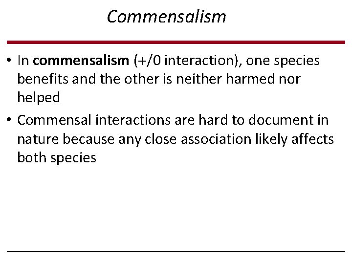 Commensalism • In commensalism ( /0 interaction), one species benefits and the other is