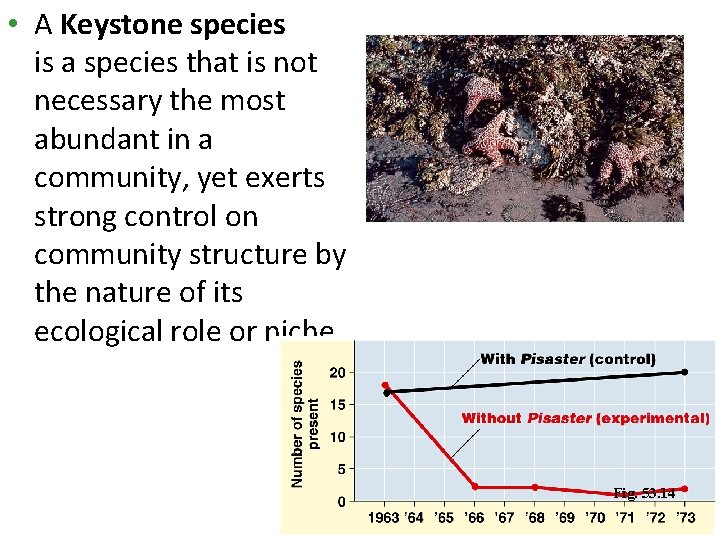  • A Keystone species is a species that is not necessary the most