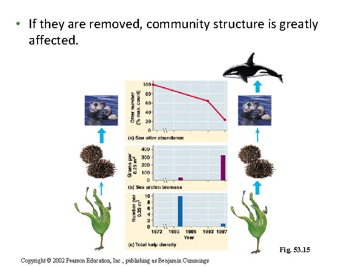  • If they are removed, community structure is greatly affected. Fig. 53. 15