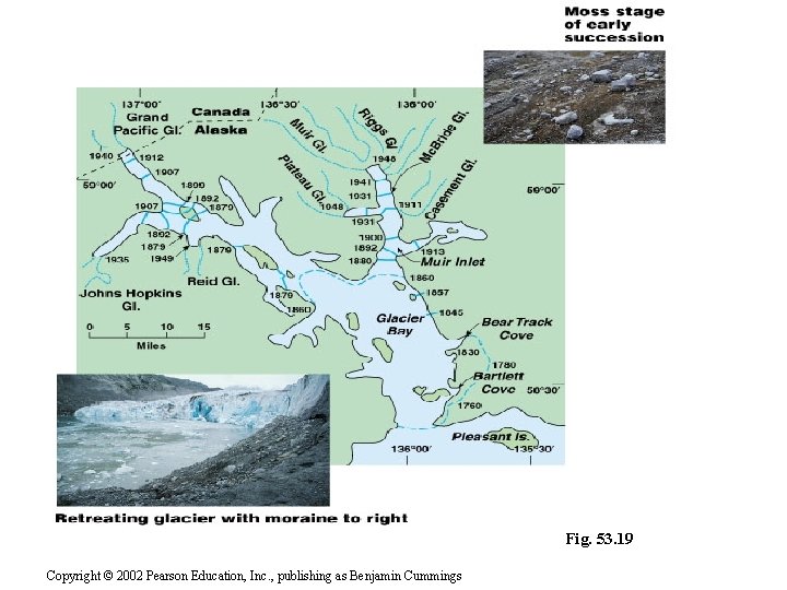 Fig. 53. 19 Copyright © 2002 Pearson Education, Inc. , publishing as Benjamin Cummings