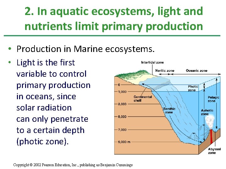 2. In aquatic ecosystems, light and nutrients limit primary production • Production in Marine