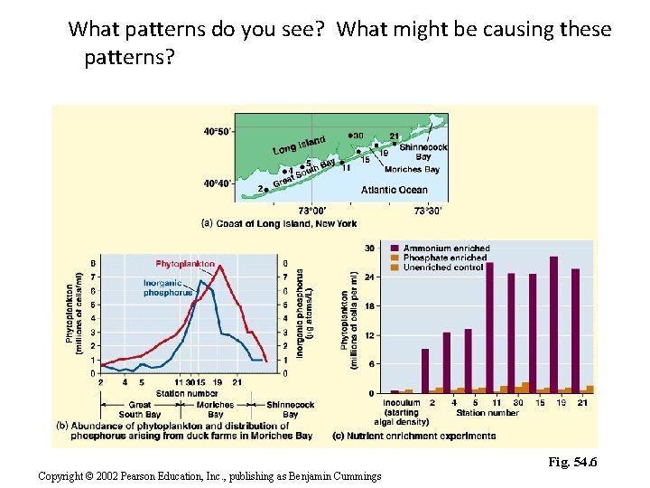 What patterns do you see? What might be causing these patterns? Fig. 54. 6