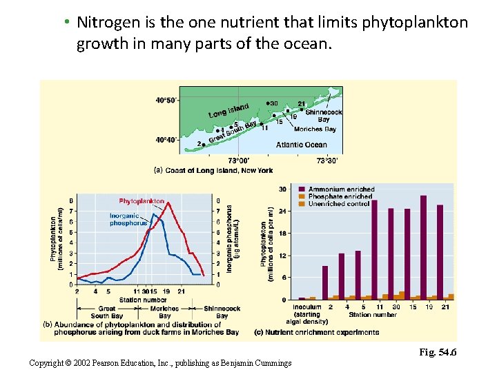  • Nitrogen is the one nutrient that limits phytoplankton growth in many parts