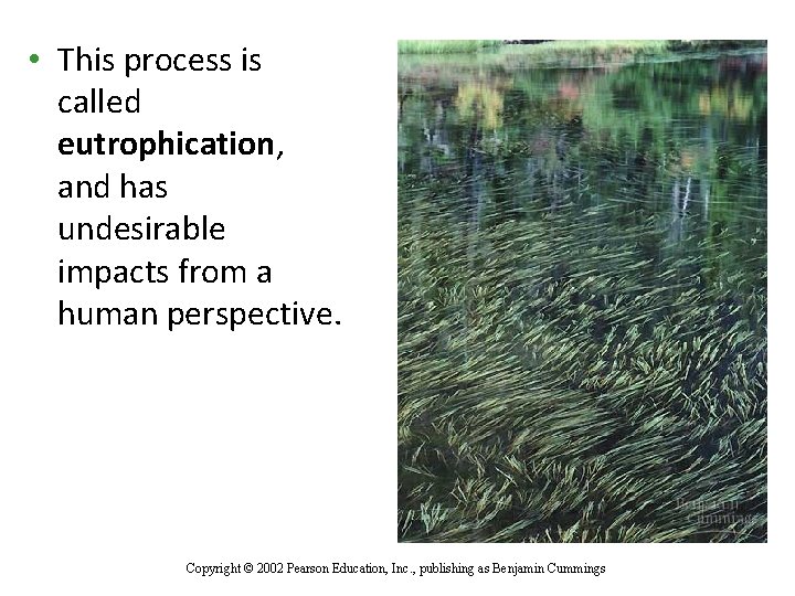  • This process is called eutrophication, and has undesirable impacts from a human