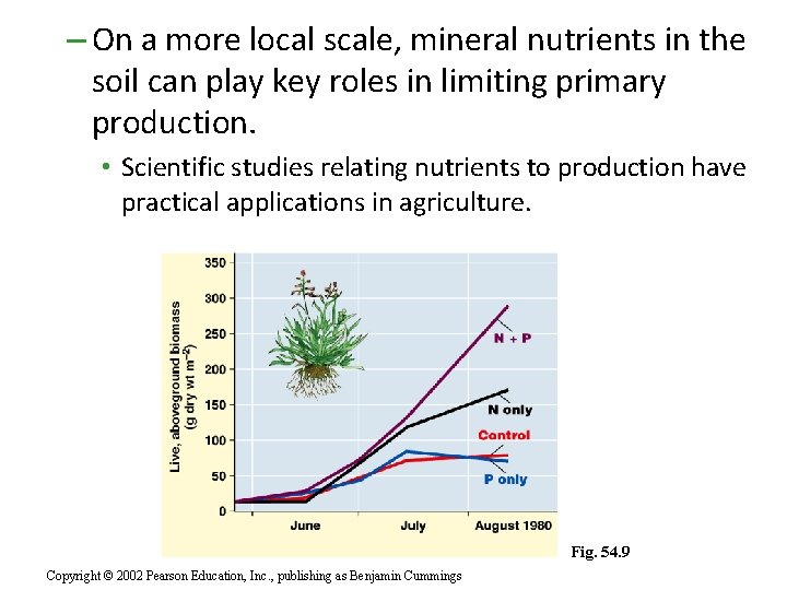 – On a more local scale, mineral nutrients in the soil can play key