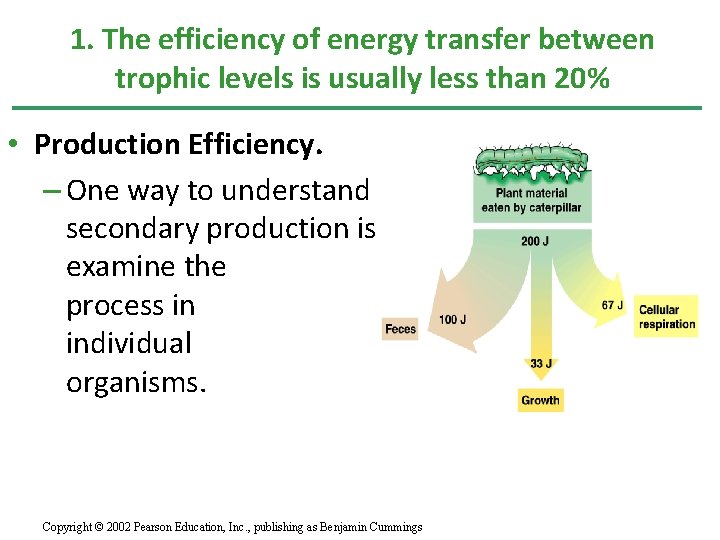 1. The efficiency of energy transfer between trophic levels is usually less than 20%