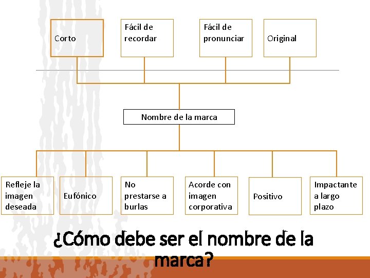 Corto Fácil de recordar Fácil de pronunciar Original Nombre de la marca Refleje la