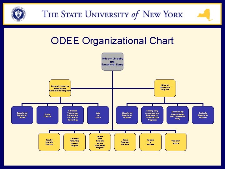 ODEE Organizational Chart Office of Diversity and Educational Equity Office of Opportunity Programs University