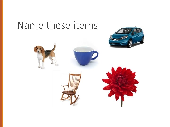 Name these items 