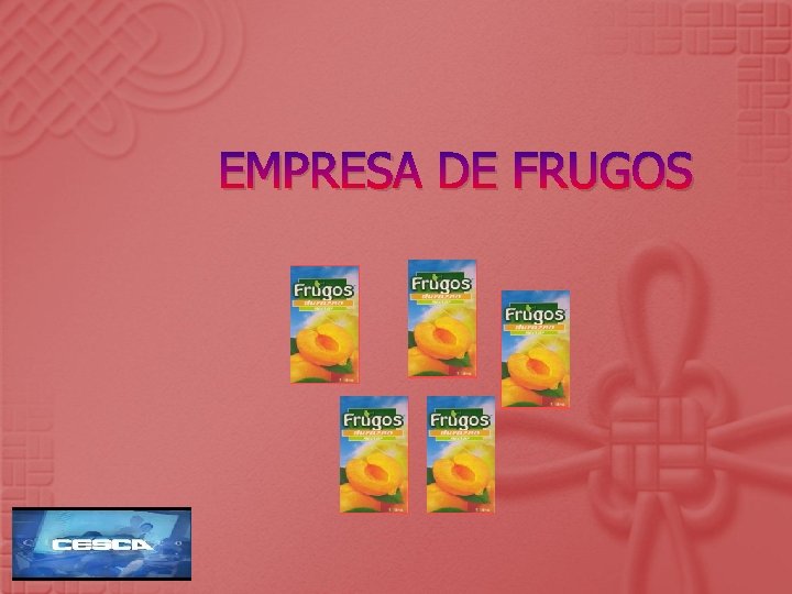 EMPRESA DE FRUGOS 