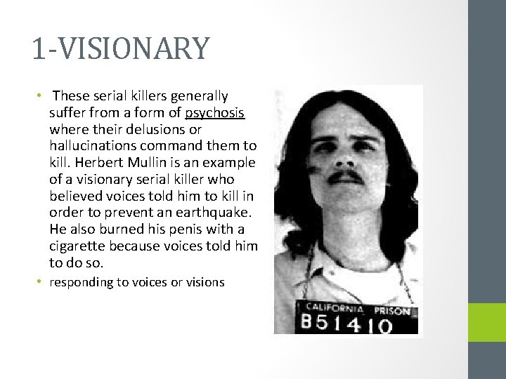 1 -VISIONARY • These serial killers generally suffer from a form of psychosis where