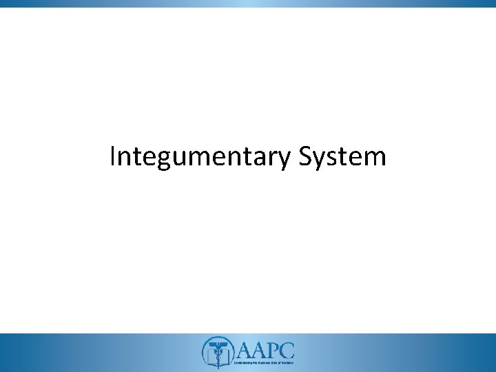 Integumentary System 