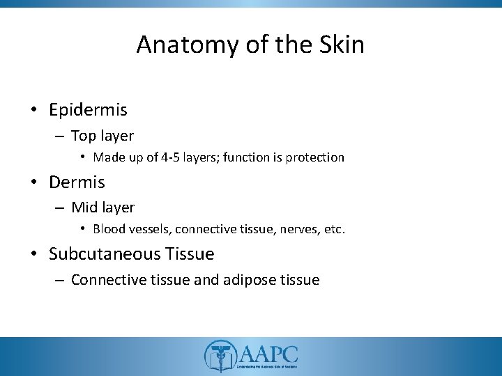 Anatomy of the Skin • Epidermis – Top layer • Made up of 4