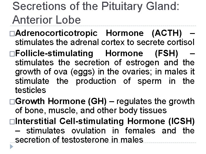 Secretions of the Pituitary Gland: Anterior Lobe �Adrenocorticotropic Hormone (ACTH) – stimulates the adrenal Secretions of the Pituitary Gland: Anterior Lobe �Adrenocorticotropic Hormone (ACTH) – stimulates the adrenal