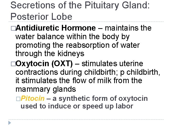Secretions of the Pituitary Gland: Posterior Lobe �Antidiuretic Hormone – maintains the water balance Secretions of the Pituitary Gland: Posterior Lobe �Antidiuretic Hormone – maintains the water balance