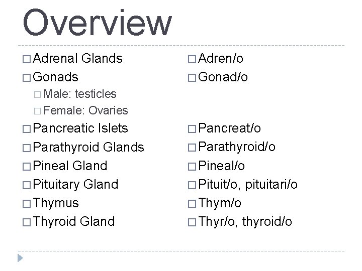 Overview � Adrenal Glands � Gonads � Adren/o � Gonad/o � Male: testicles � Overview � Adrenal Glands � Gonads � Adren/o � Gonad/o � Male: testicles �
