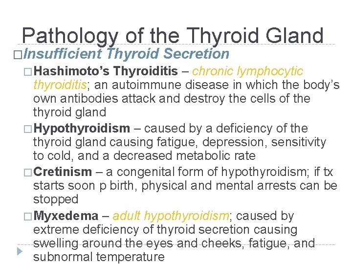 Pathology of the Thyroid Gland �Insufficient Thyroid Secretion � Hashimoto’s Thyroiditis – chronic lymphocytic Pathology of the Thyroid Gland �Insufficient Thyroid Secretion � Hashimoto’s Thyroiditis – chronic lymphocytic