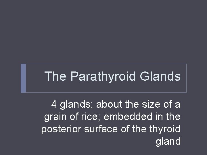 The Parathyroid Glands 4 glands; about the size of a grain of rice; embedded The Parathyroid Glands 4 glands; about the size of a grain of rice; embedded