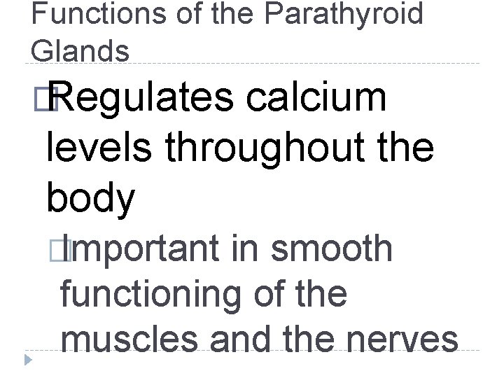 Functions of the Parathyroid Glands � Regulates calcium levels throughout the body �Important in Functions of the Parathyroid Glands � Regulates calcium levels throughout the body �Important in
