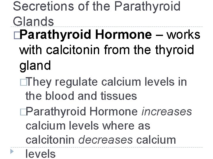 Secretions of the Parathyroid Glands �Parathyroid Hormone – works with calcitonin from the thyroid Secretions of the Parathyroid Glands �Parathyroid Hormone – works with calcitonin from the thyroid