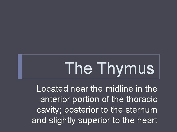 The Thymus Located near the midline in the anterior portion of the thoracic cavity; The Thymus Located near the midline in the anterior portion of the thoracic cavity;