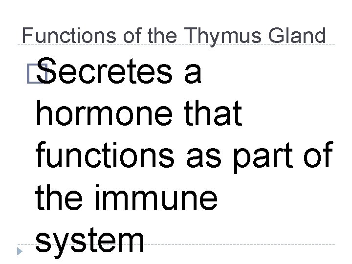 Functions of the Thymus Gland � Secretes a hormone that functions as part of Functions of the Thymus Gland � Secretes a hormone that functions as part of
