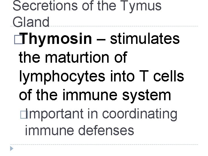 Secretions of the Tymus Gland �Thymosin – stimulates the maturtion of lymphocytes into T Secretions of the Tymus Gland �Thymosin – stimulates the maturtion of lymphocytes into T