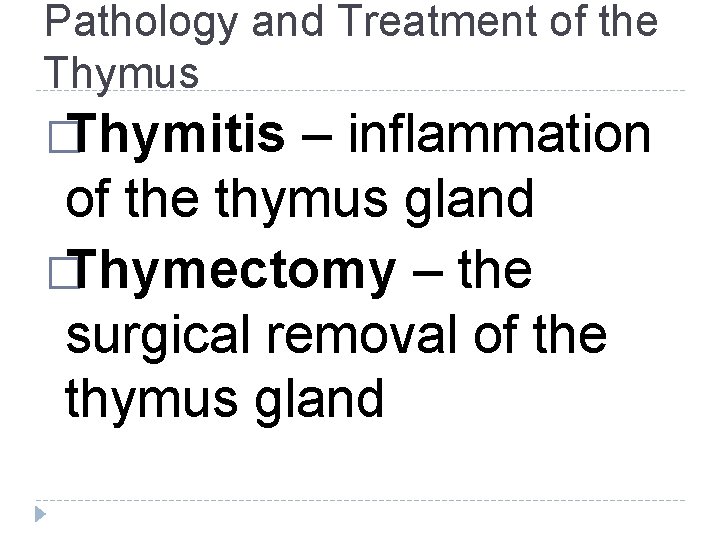 Pathology and Treatment of the Thymus �Thymitis – inflammation of the thymus gland �Thymectomy Pathology and Treatment of the Thymus �Thymitis – inflammation of the thymus gland �Thymectomy