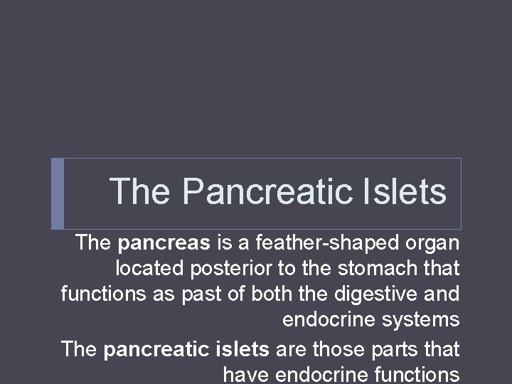 The Pancreatic Islets The pancreas is a feather-shaped organ located posterior to the stomach The Pancreatic Islets The pancreas is a feather-shaped organ located posterior to the stomach