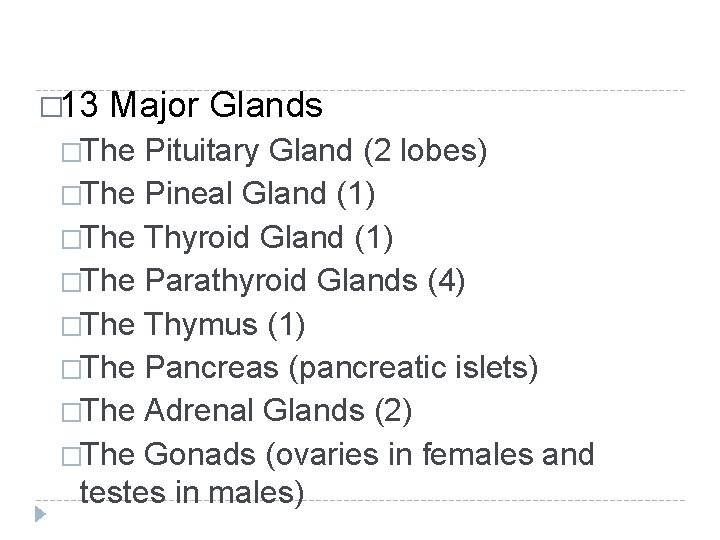 � 13 Major Glands �The Pituitary Gland (2 lobes) �The Pineal Gland (1) �The � 13 Major Glands �The Pituitary Gland (2 lobes) �The Pineal Gland (1) �The