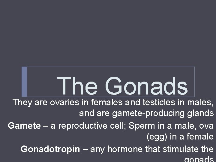 The Gonads They are ovaries in females and testicles in males, and are gamete-producing The Gonads They are ovaries in females and testicles in males, and are gamete-producing
