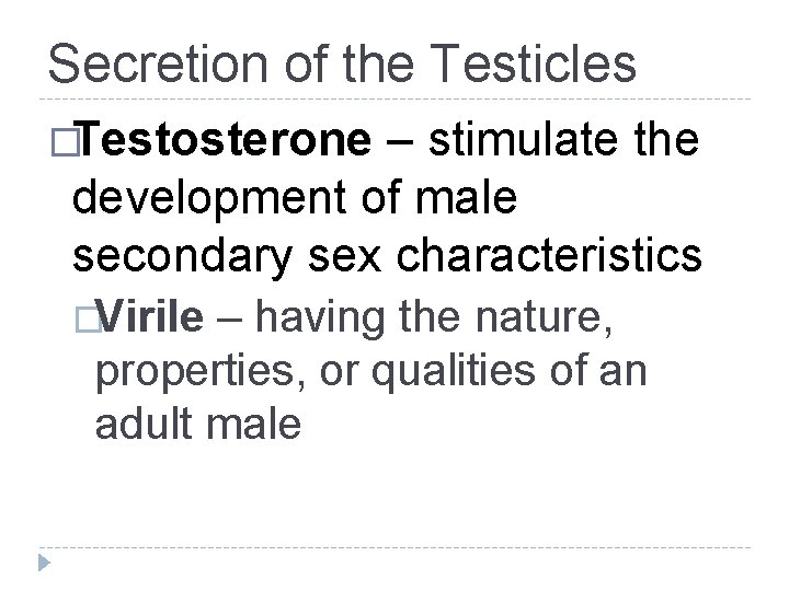 Secretion of the Testicles �Testosterone – stimulate the development of male secondary sex characteristics Secretion of the Testicles �Testosterone – stimulate the development of male secondary sex characteristics