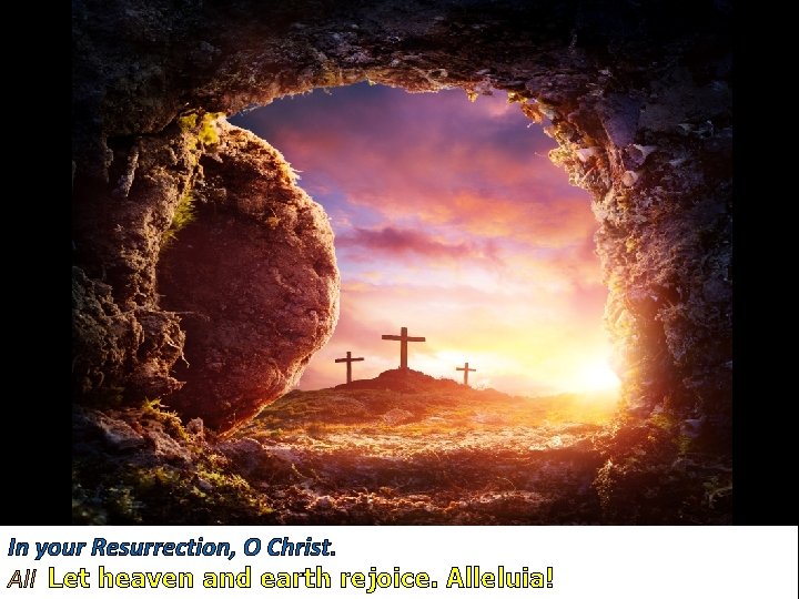 In your Resurrection, O Christ. All Let heaven and earth rejoice. Alleluia! In your Resurrection, O Christ. All Let heaven and earth rejoice. Alleluia!