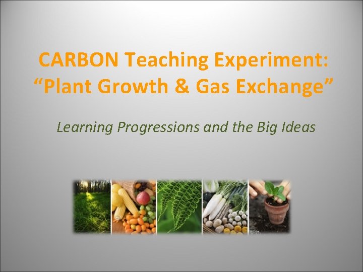 CARBON Teaching Experiment: “Plant Growth & Gas Exchange” Learning Progressions and the Big Ideas