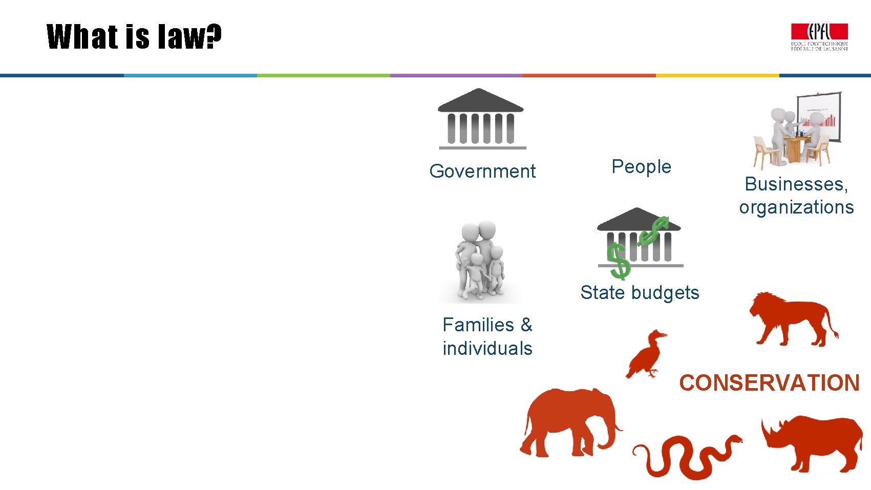 What is law? Government People Businesses, organizations State budgets Families & individuals CONSERVATION Application