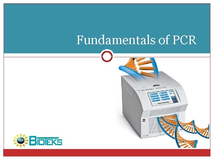 Fundamentals of PCR 